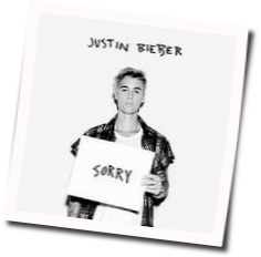  You gotta go and get angry at all of my honesty Teremahan Lagu Sorry | Justin Bieber