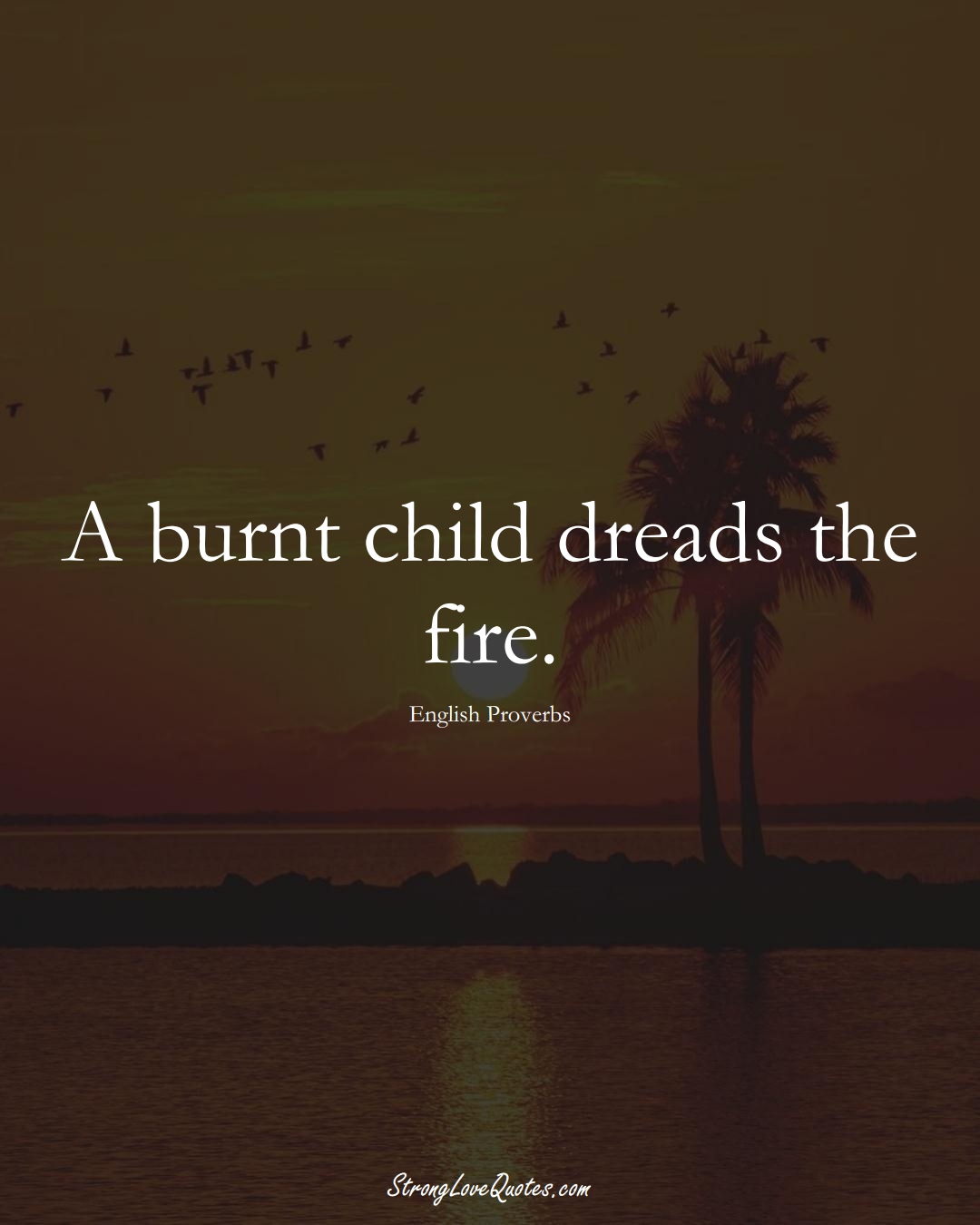 A burnt child dreads the fire. (English Sayings);  #EuropeanSayings