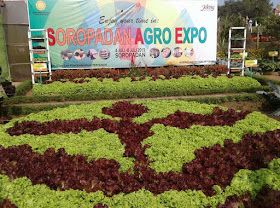 Soropadan Agro Expo 2019