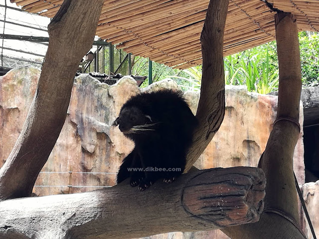 Tarikan Terbaru Dan Menarik Di Lost World Of Tambun