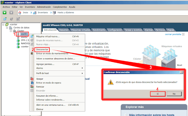 ¿Está seguro de que desea desconectar los hosts seleccionados?