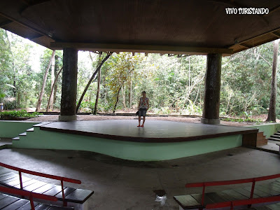 Manaus | Fomos conhecer o Sauim-de-Manaus no Parque do Mindu