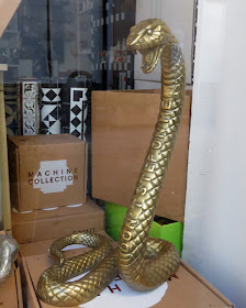 Don't Step On Me, snake in a shop window, Via Cambini, Livorno