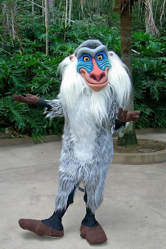 Unofficial Disney Character Hunting Guide: Animal Kingdom 