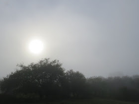 sun through fog
