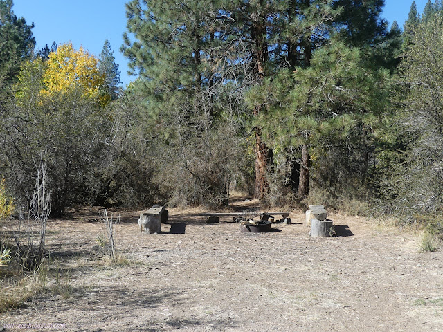 11: metal fire ring surrounded by log benches surrounded by flat dirt