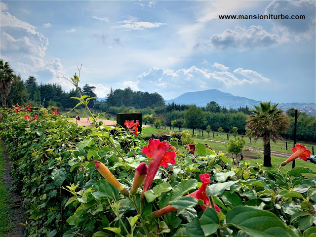 El campo en los alrededores de Pátzcuaro