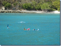 Snorkeling at White Bay