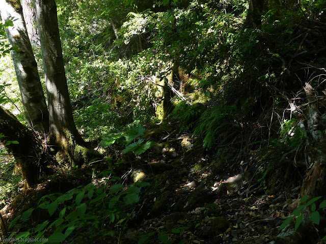 small stream crossing