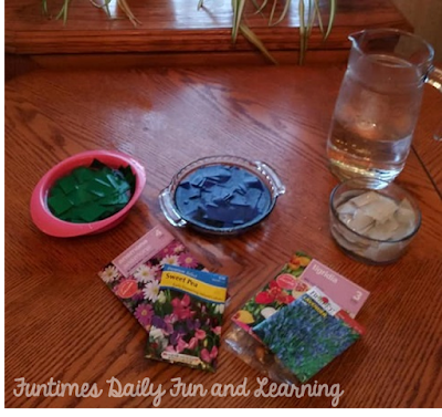 Earth Day Seed Bomb Recipe