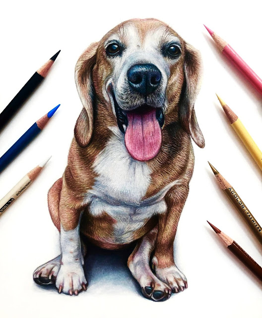 Cute Dogs Drawings