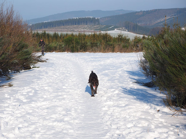 Sauerland winter schnee schmallenberg