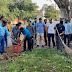 कलेक्टर परिसर में चलाया स्वच्छता अभियान भारतीय मजदूर संघ ओर राज्य कर्मचारी संघ ने
