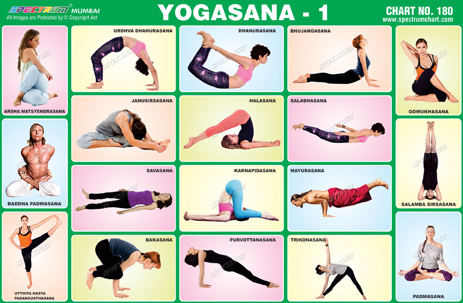 spectrum educational charts chart 180 yogasana 1