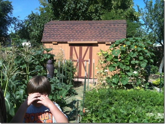 08-01-2012 Steff's Phoe 068