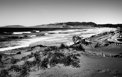Black and White Beach Photography
