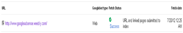Fetch Status in Google Webmaster Tools