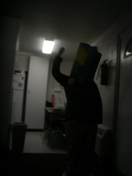 the bag