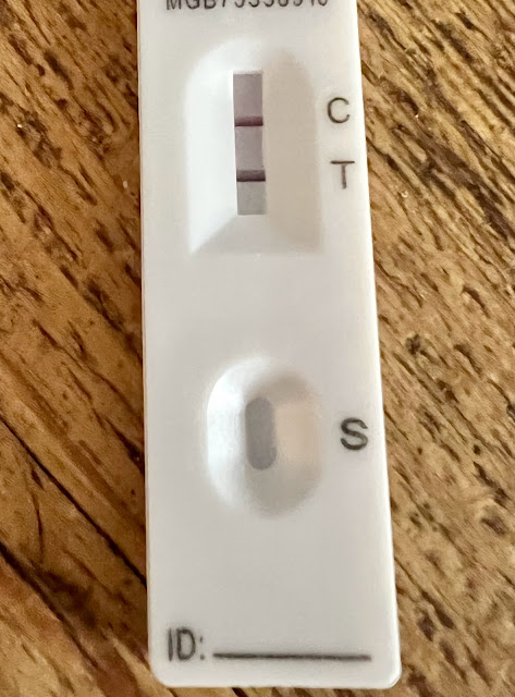 Covid 19 lateral flow test