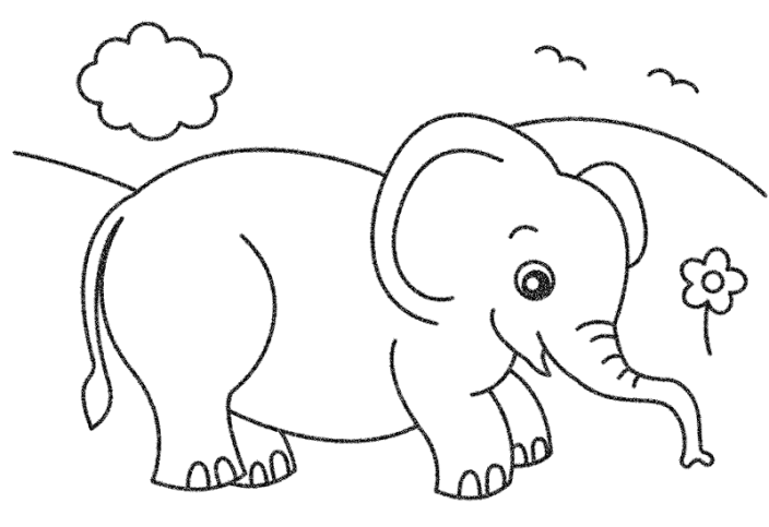12 Sketsa Gambar Mewarnai Binatang Gajah