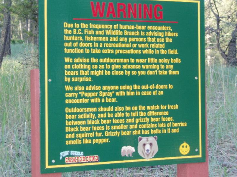 funny bear. Funny Bear sign