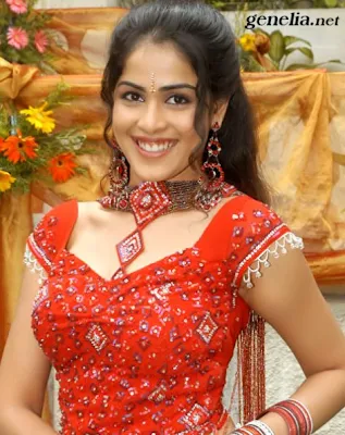 genelia/bollywood/wallpapers/hot/online/collections/hair style/top actress/gallery/