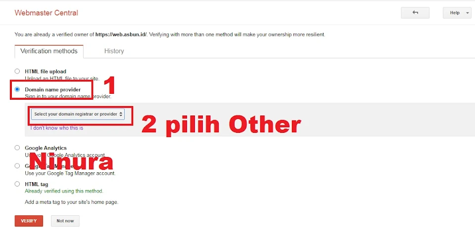 Select Domain Name Provider