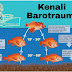 Barotrauma - Hukum Tekanan Gas Pada Organ Ikan