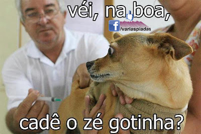 Véi, na boa, cadê o Zé Gotinha? Foto para Facebook.