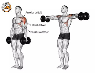 Jay Cutler's Best Muscle Building Exercises For All Body