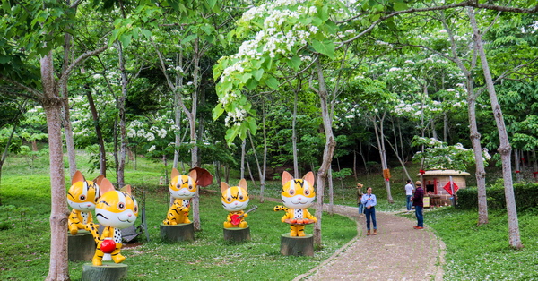 苗栗銅鑼客家大院桐花公園浪漫4月雪，姜太公中部道場客家大院