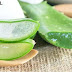 The most effective method to Condition Your Hair With Aloe Vera