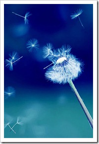 iPhone-Wallpapers-33
