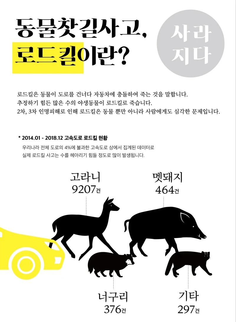 동물 찻길사고 예방 위한 홍보 공익활동(캠페인) 개최