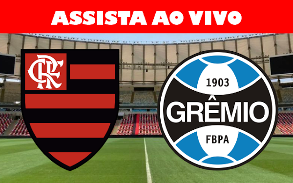 Assista Ao Vivo Flamengo X Gremio Noticias Do Flamengo