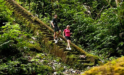 nevis, caribbean, hiking, nature, peak, vacation, exercise, activity