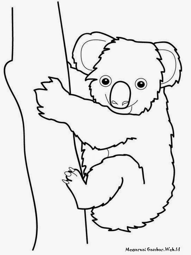 Mewarnai Gambar  Koala Imut Mewarnai Gambar 