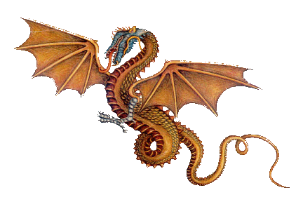 Dragões | Dragons