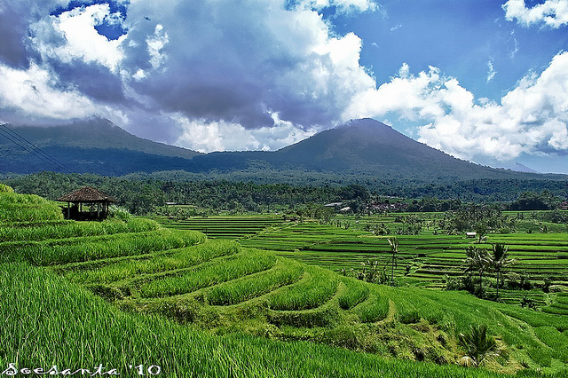 GAMBAR PEMANDANGAN SAWAH DAN PEGUNUNGAN TERINDAH  freewaremini