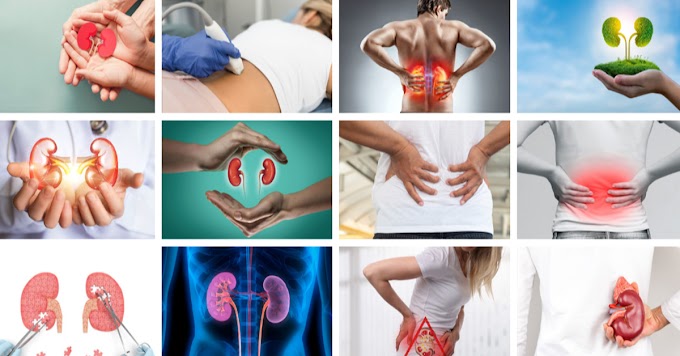 Kidney Disease in Diabetics | Diabetic nephropathy