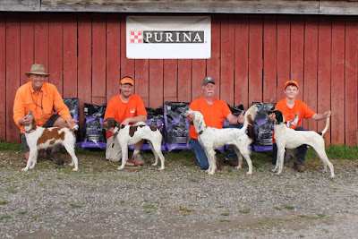 nstra, bird dogs bird hunting