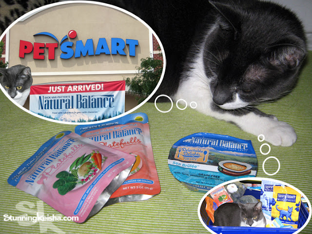 Cats with sensitive tummies can eat Natural Balance grain-free cat food and I’ll tell you why