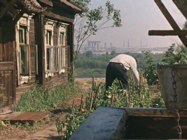 Мужчина копается в огороде у деревянного дома