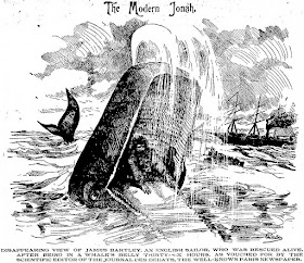 Some cite the case of James Bartley, a sailor, who was supposedly swallowed by a sperm whale in 1891.