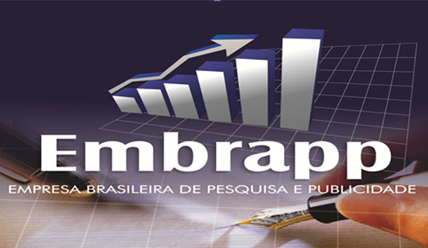 Pesquisa Embrapp elege as melhores empresas e profissionais cocalenses; confira a lista