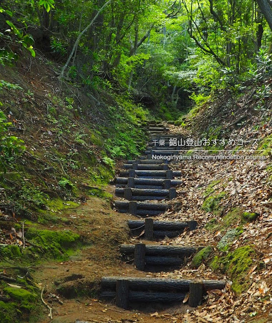 鋸山登山＊丸太の階段