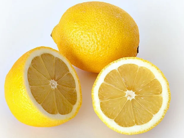 ilustrasi lemon
