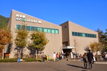 DSC_0107.JPG DSC 0107