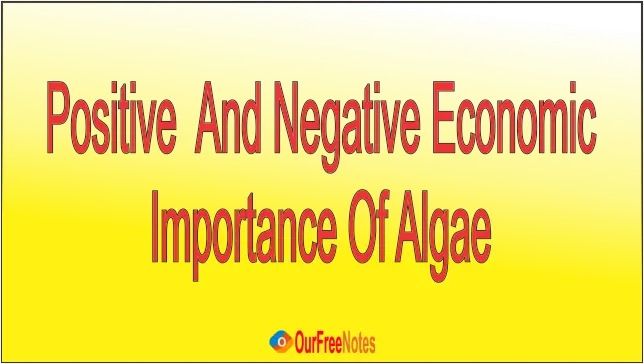 positive-and-negative-economic-impostance-of-algae