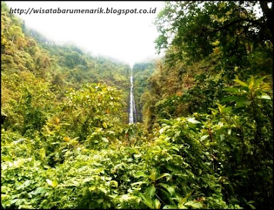 Air Terjun Dari Langit Di Jember Yang Memukau